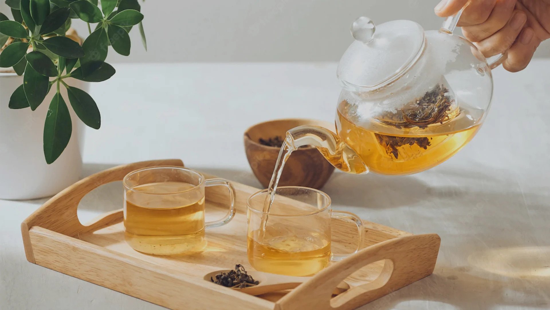 سایت فروشگاه اینترنتی محصولات ارگانیک نارنج بُن